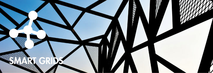 Smart Grids